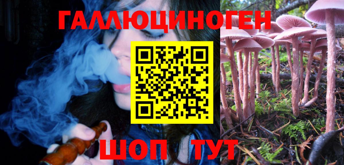 Галлюциногенные грибы Psilocybe Лениногорск