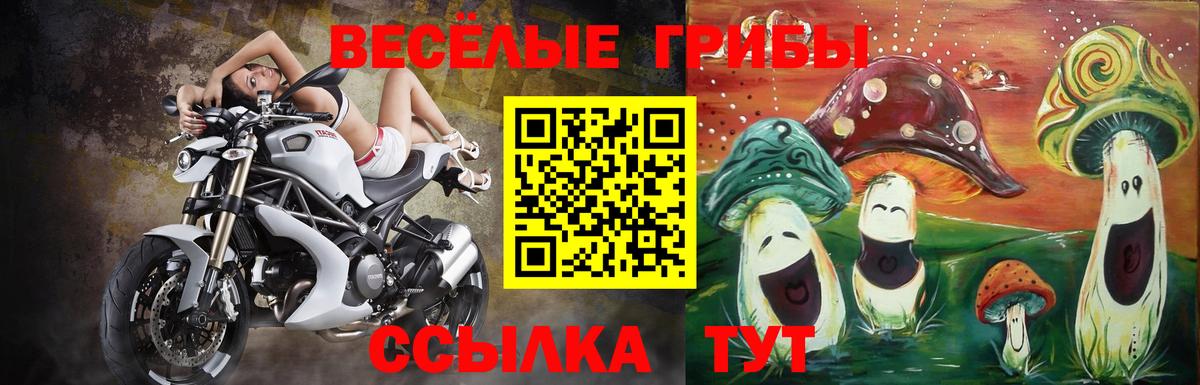 Псилоцибиновые грибы прущие грибы  Вход с VPN  Псилоцибиновые грибы прущие грибы  Лениногорск 