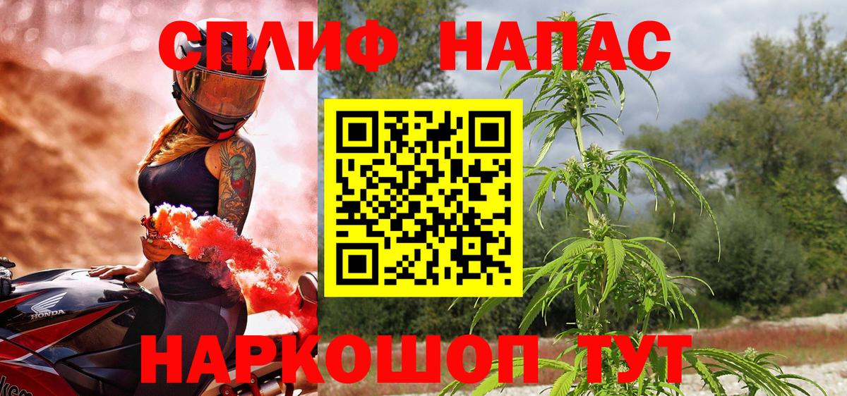 Шишки марихуана семена  МАРИХУАНА сатива  Конопля гибрид  Вход с VPN  Конопля сатива  Лениногорск 
